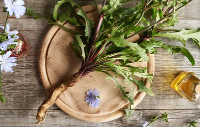 Fructooligosaccharides (Prebiotic Fiber)
